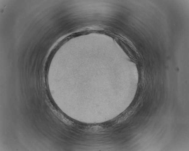 X0000076220784200611160958