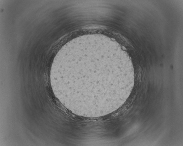 X0000076220821200611160957