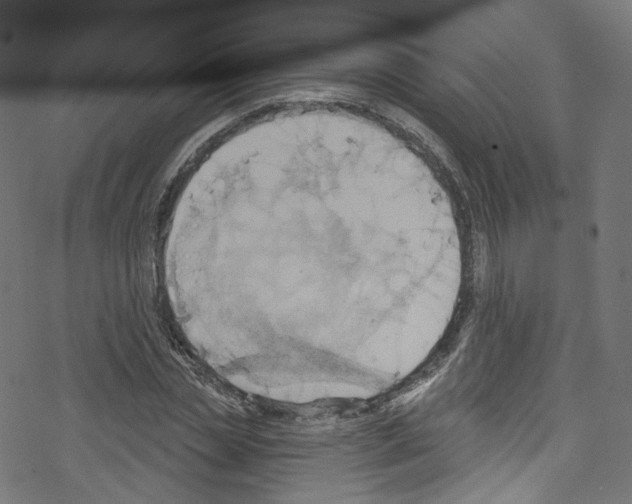 X0000076220829200611160957