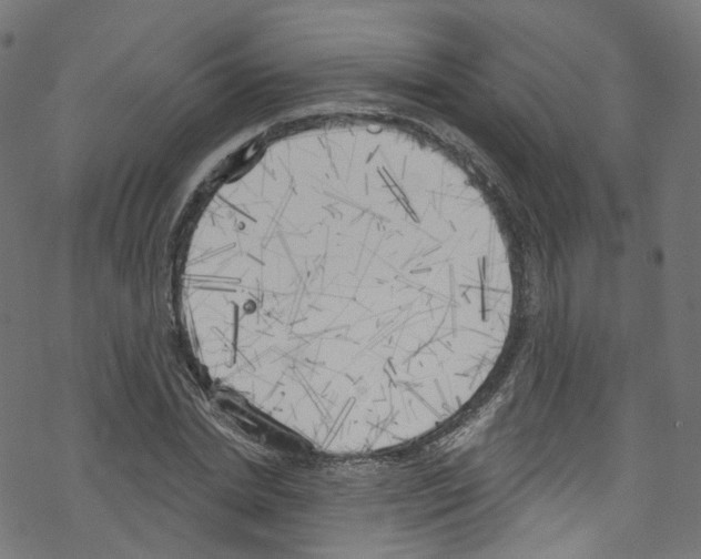 X0000076220830200611160957