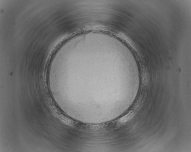 X0000076220832200611160957
