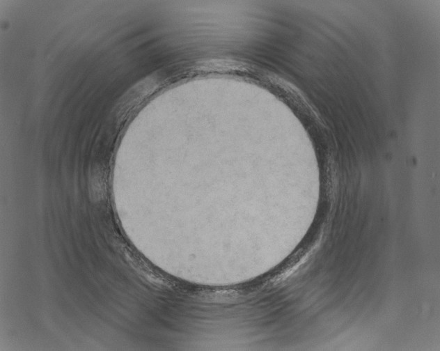 X0000076220833200611160957