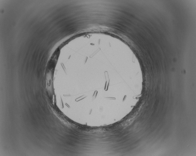 X0000076220838200611160957