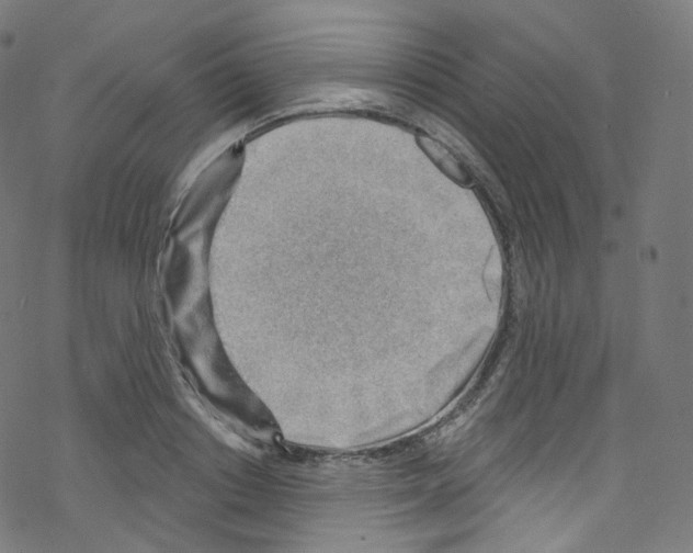 X0000076220842200611160957