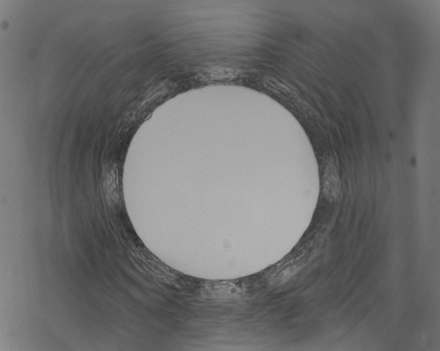 X0000076220866200611160957