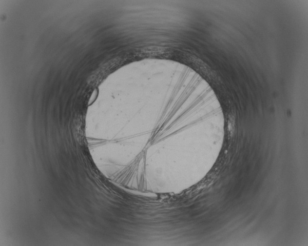 X0000076220867200611160957