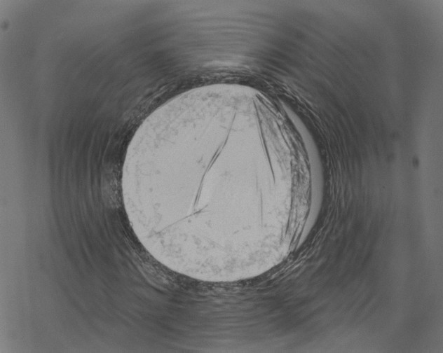 X0000076220868200611160957