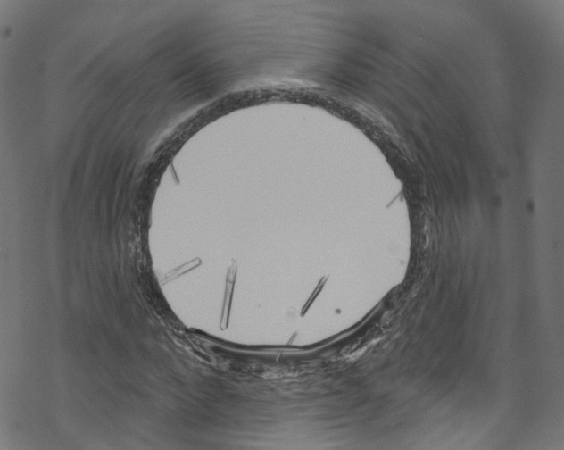X0000076220872200611160956