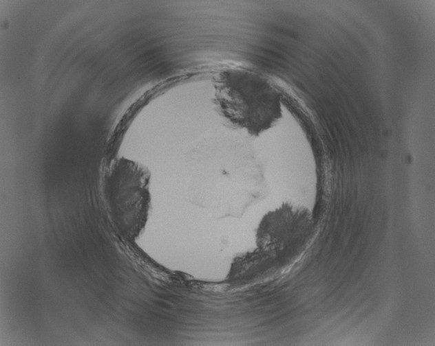 X0000076220875200611160956