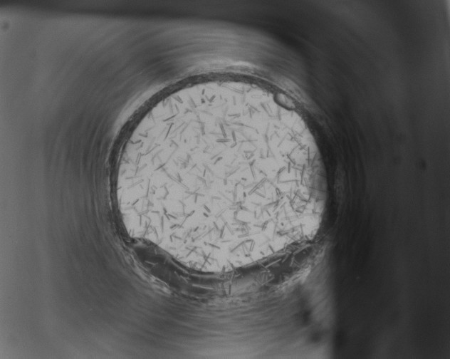 X0000076220877200611160956