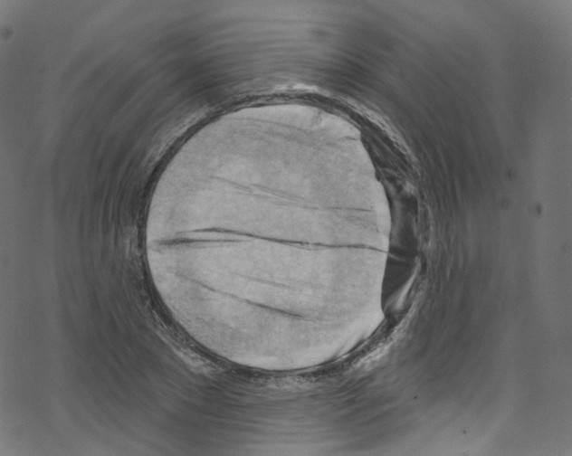 X0000076220881200611160956