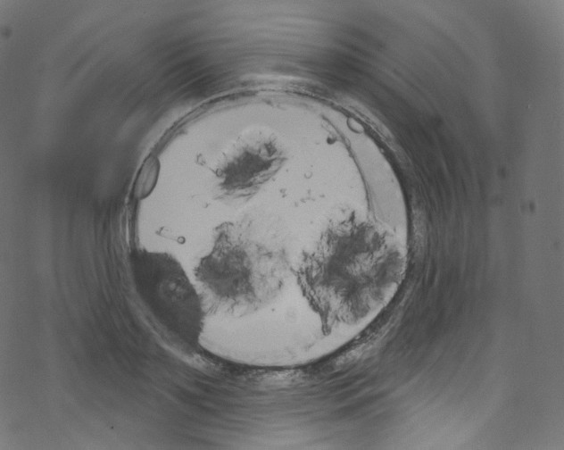 X0000076220891200611160956