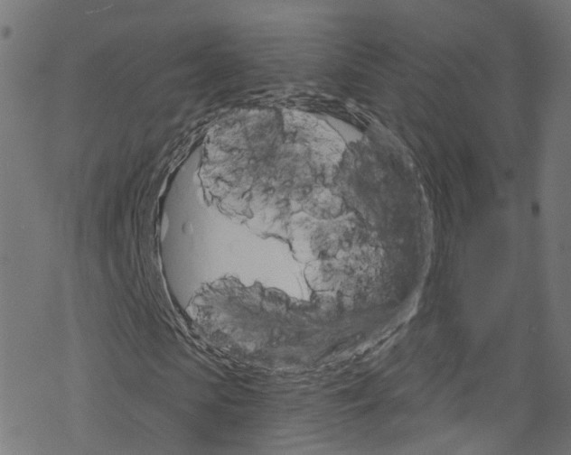 X0000076220913200611160955