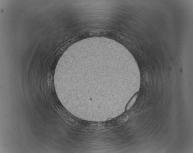 X0000076220914200611160955