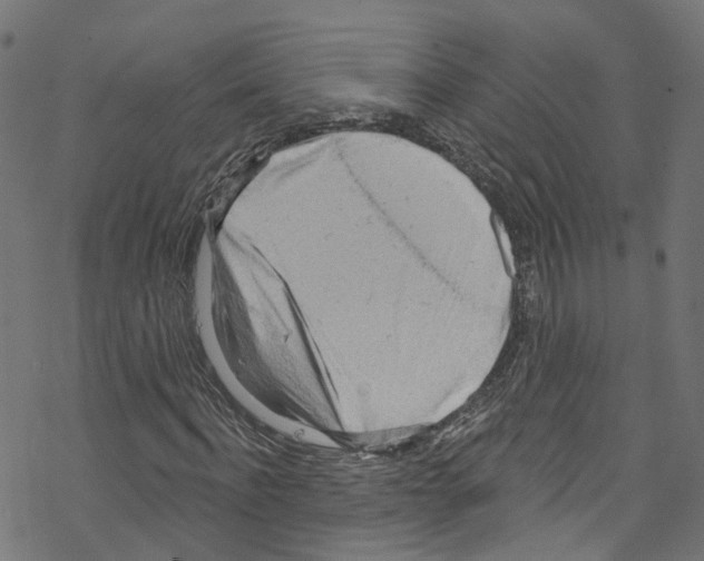 X0000076220916200611160955