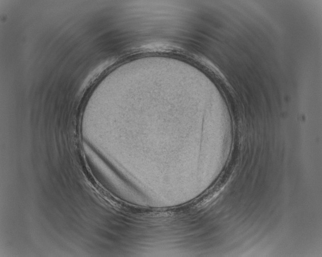 X0000076220930200611160955
