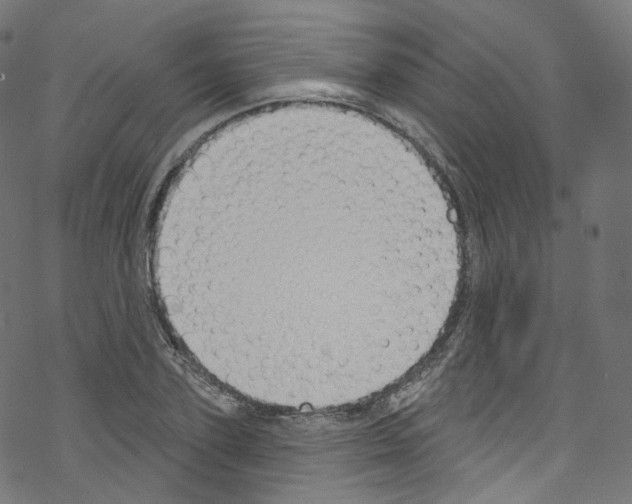 X0000076220931200611160955
