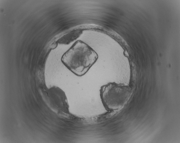 X0000076220937200611160955