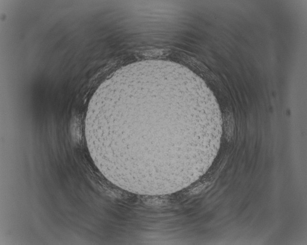 X0000076220962200611160955