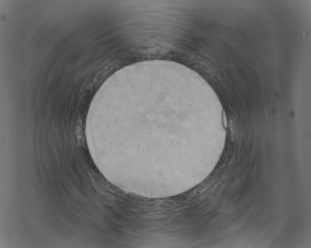 X0000076220963200611160955