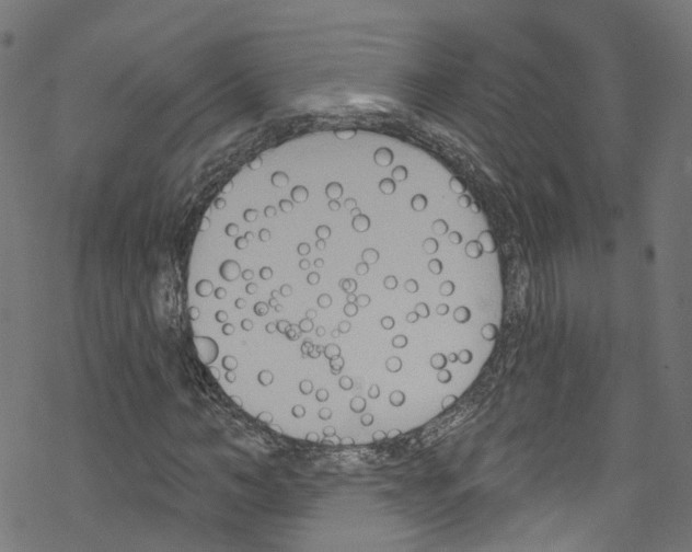 X0000076220966200611160955