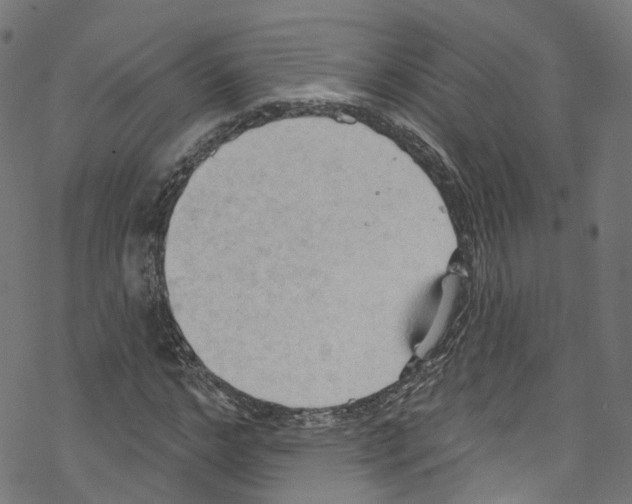 X0000076220968200611160955