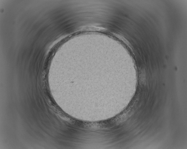 X0000076220971200611160955