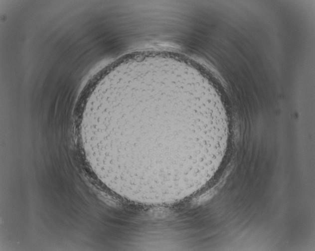 X0000076220974200611160955