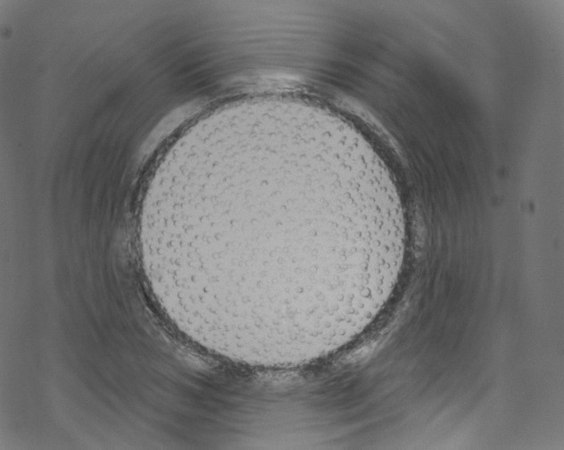 X0000076220978200611160955