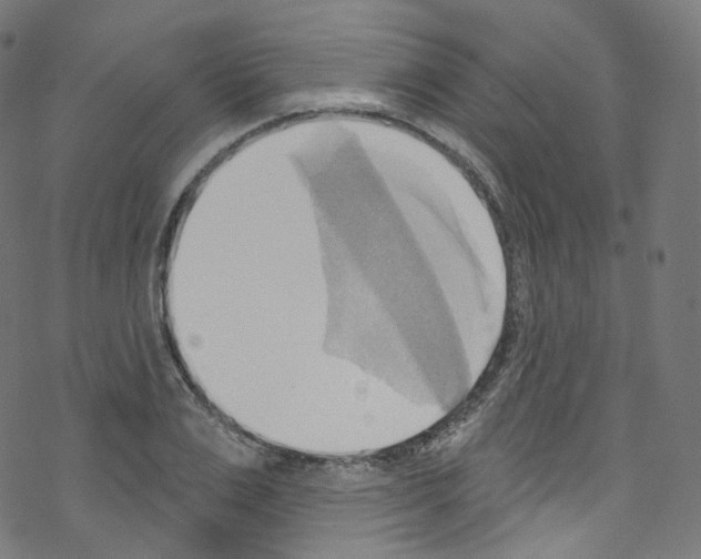 X0000076220983200611160955