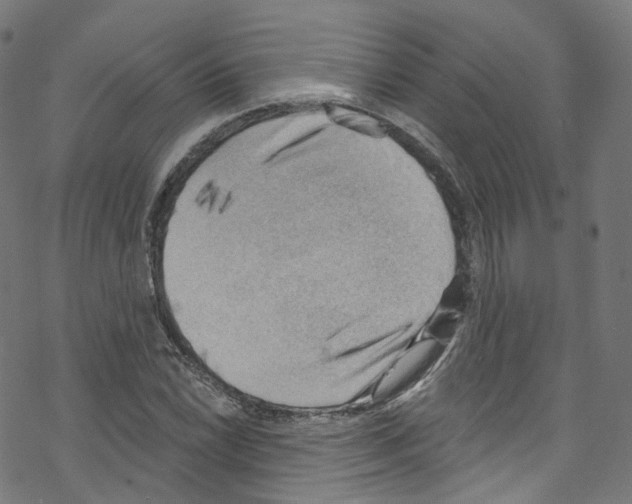 X0000076221022200611160954
