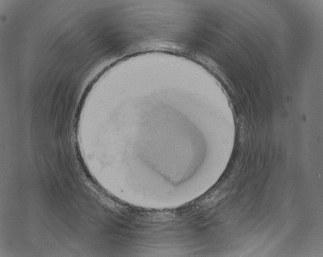 X0000076221024200611160954