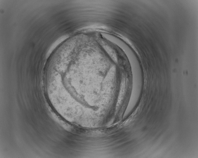 X0000076221042200611160954