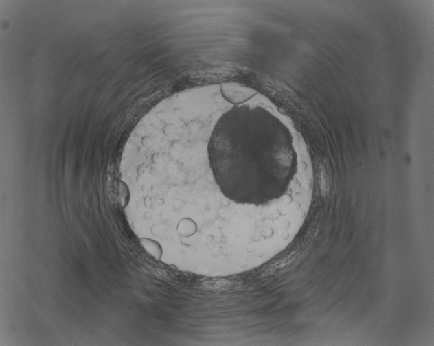 X0000076221059200611160953