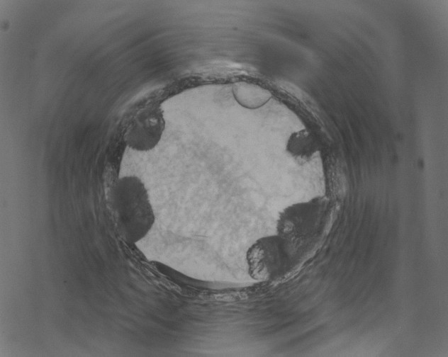 X0000076221063200611160953