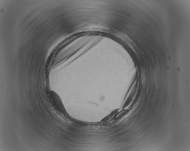 X0000076221069200611160953