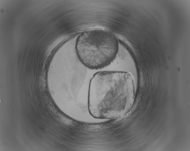 X0000076221071200611160953