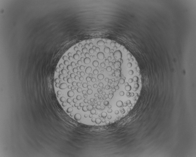 X0000076221106200611160952