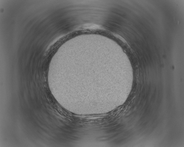 X0000076221112200611160952