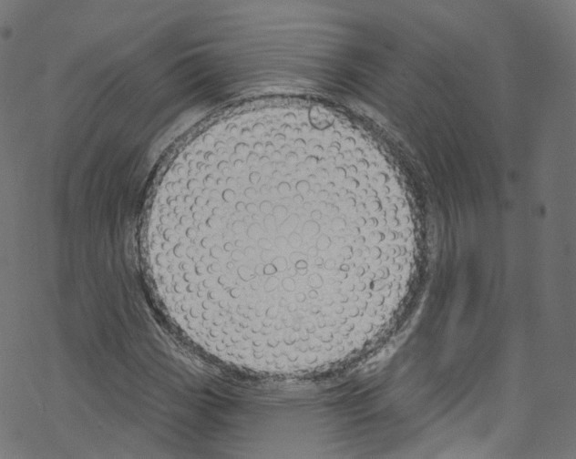 X0000076221113200611160952