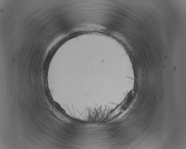 X0000076221114200611160952