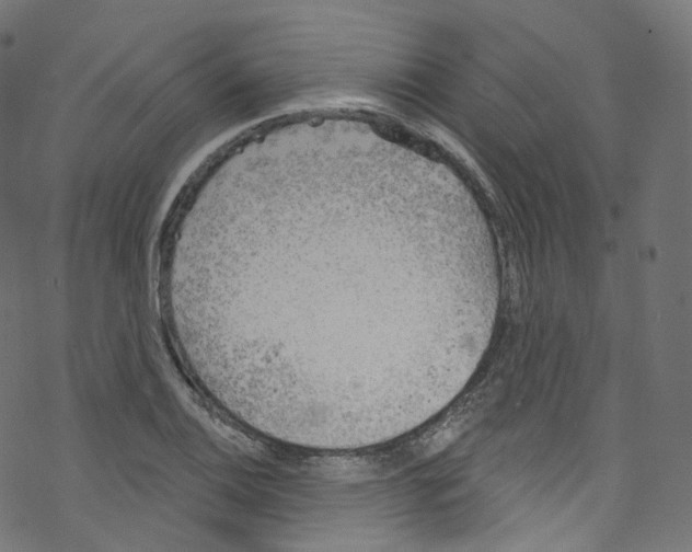 X0000076221124200611160952