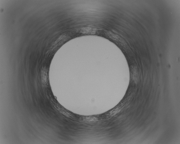 X0000076221154200611160952