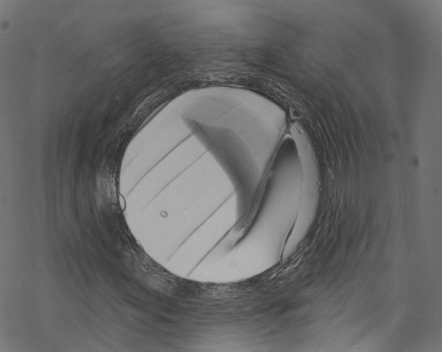 X0000076221155200611160952