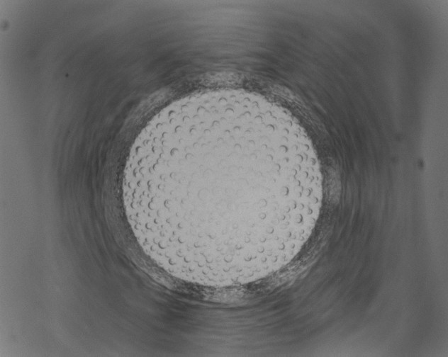 X0000076221201200611160950