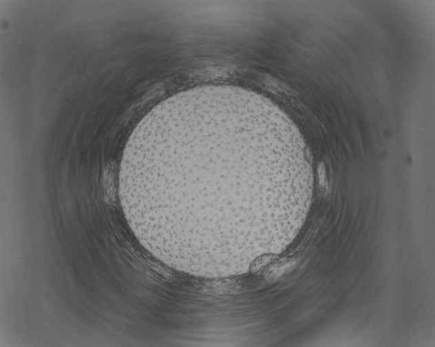 X0000076221203200611160950