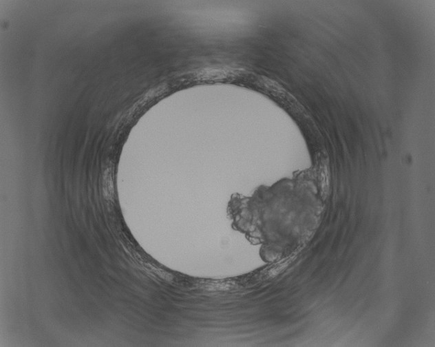 X0000076221204200611160950