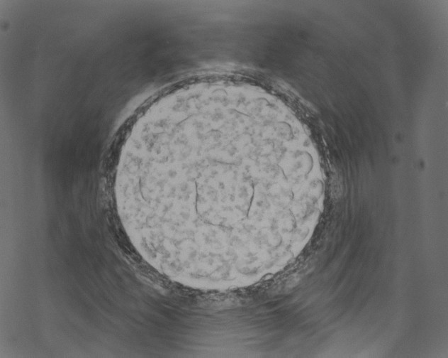 X0000076221208200611160951