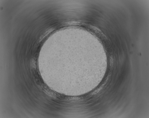 X0000076221209200611160951
