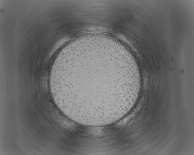 X0000076221211200611160951